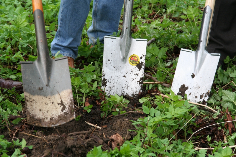 pepiniere-MONTFORT SUR ARGENS-min_work-lawn-flower-tool-green-backyard-1103633-pxhere.com